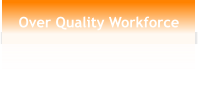 Over Quality Workforce